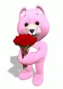 pink bear with flower