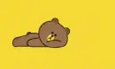 brown bear