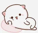 White cat