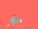 Baby rhino