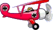 red aircraft