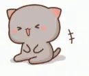 grey cat laugh