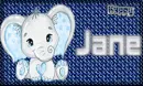 Elephant Name Siggie - Jane #3
