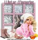Winter Memories