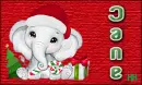 Elephant Siggie - Jane #4