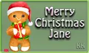 Gingerbread w/santa hat Siggie - Jane #6