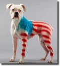 color dog