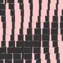 optical picture