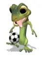 lizard
