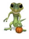 lizard