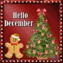 Hello December