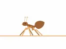 brown ant