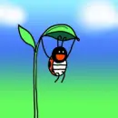 ladybird