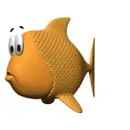 orange fish