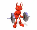 red ant