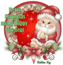 Merry Christmas and a Happy New Year