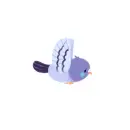 Purple bird