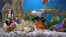 Funny animated