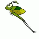 Grasshopper