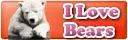 Love bears button