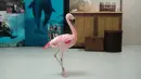 Pink bird