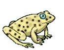frog