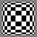 white-black optical picture