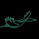green bird