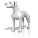 White dog
