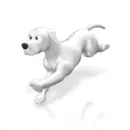 White dog