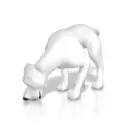 White dog