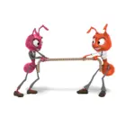 ants