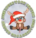 Reindeer - Jane loves your graphic