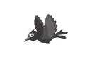 black bird