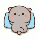 grey cat