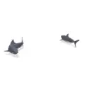 sharks