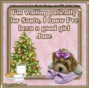 Waiting patiently for Santa