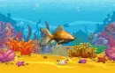 goldfish