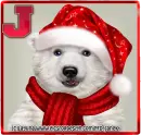Christmas Polar Bear - J