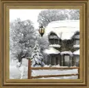 Winter snow