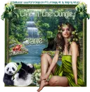 Life in the Jungle - jane