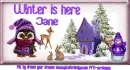 Winter is here - Jane