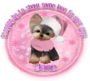 Showing some love to your page - Jane