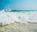 Beach Background