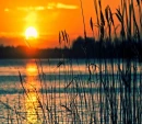 Lake Sunset Background