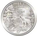 Winter Wishes - Jane