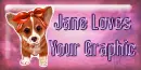 Cute Corgi - Jane