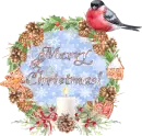 Merry Christmas!