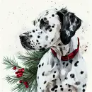 Dalmation Watercolor Background