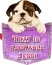 Puppy in a pocket - Jessi